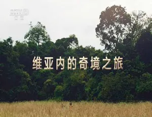 维亚内奇境之旅 蓝光高清全集
