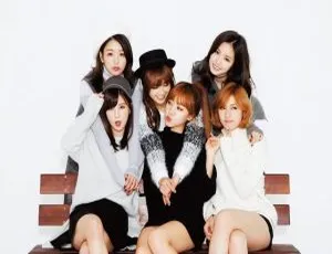 APink Pink Paradise 首场演唱会高清现场 韩国珍藏版完整实录音像-蓝海网