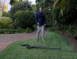 澳大利亚捕蛇人 Aussie Snake Wranglers 2022 全16集 1080P MKV 英语无字-蓝海网