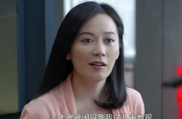王志文李小冉都市剧