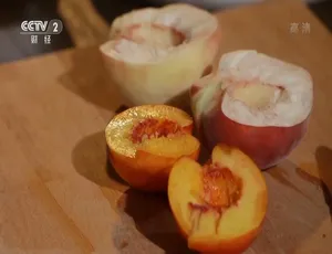 纪录片原味第一季全4集 1080P高清国语中字版