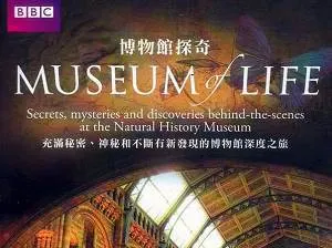 BBC生命博物馆纪录片