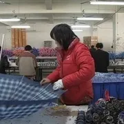 社会转型期阵痛