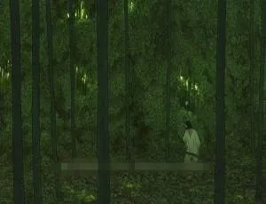 儿童电影红海龟2016 奇幻治愈动画 无对白教育影片