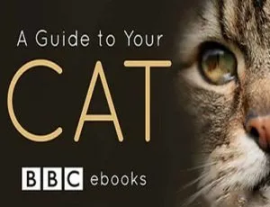 猫咪观察全3集 BBC纪录片高清英语中字视频合集-蓝海网