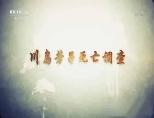 川岛芳子死亡调查纪录片 TS蓝光全3集