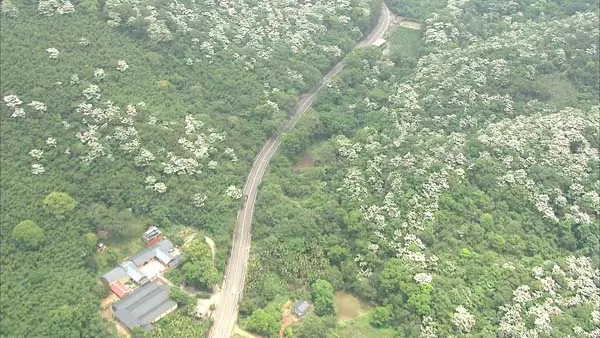 台湾航拍生态