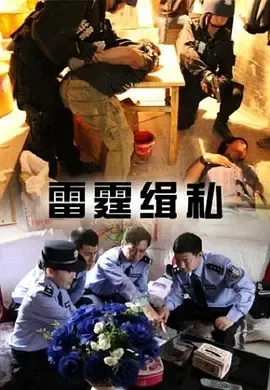 2013雷霆缉私