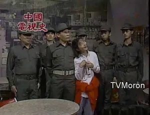 中国电视史纪录片全集 50集国语中字珍藏版 经典回顾