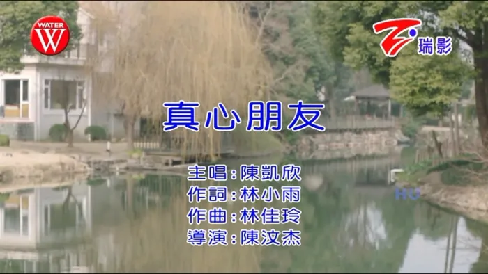 无声的痛 专辑