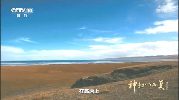 西夏学三维重建