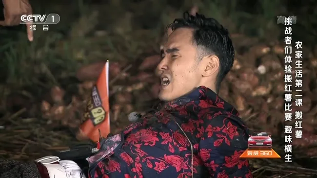 央视正能量综艺
