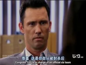 火线警告第6季 全13集 1080P H265蓝光中文字幕 2002美国剧情-蓝海网
