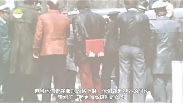 奥斯卡提名德国电影
