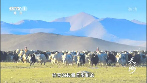 雅鲁藏布江