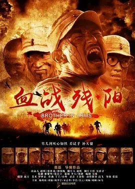 血战残阳电影2013