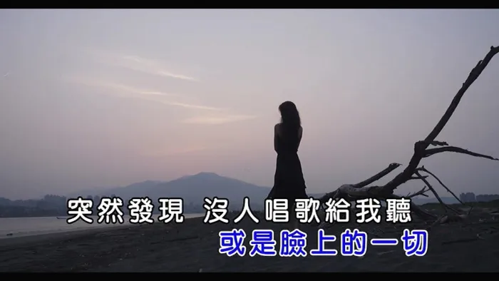 2018国语MV