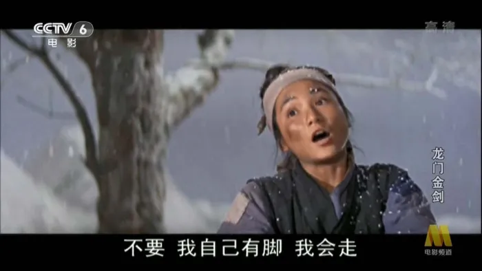 龙门金剑郑佩佩