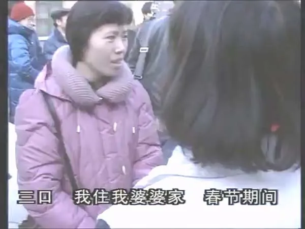 1993年社会纪实电影