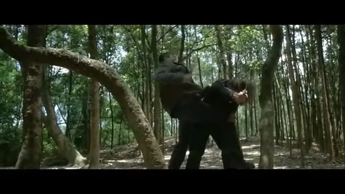 阿嫂传奇2005电影