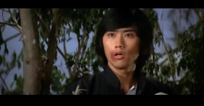 邵氏功夫片