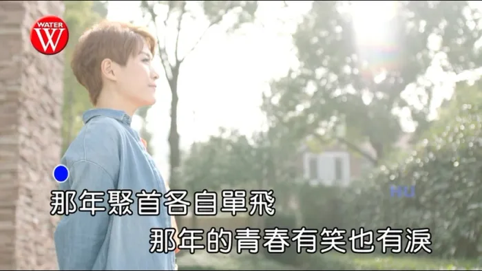 陈凯欣 老伴 国语MV