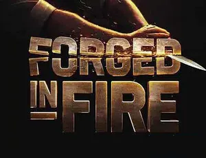 锻刀大赛 Forged in Fire 第八季 高清720P/1080i无字幕全集-蓝海网