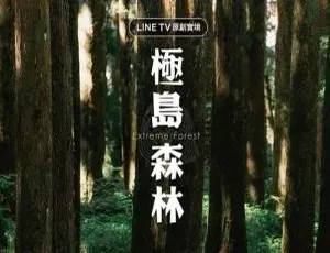 极岛森林 2022必看综艺 全12集 国语中字