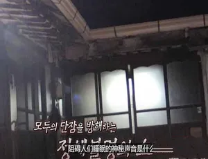 瞬间捕捉世界有奇事 第十季全26集 1080P高清中字-蓝海网