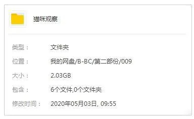 猫科动物行为密码