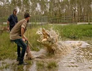 野鳄之境 Wild Croc Territory 2022 纪录片 全10集 1080P MKV高清 英语多国字幕 官方纯净版 14.8G