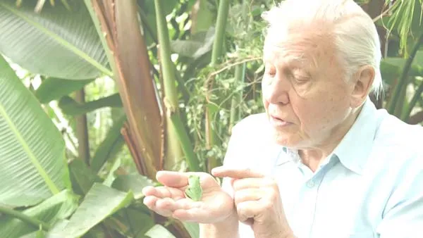 透明皮肤生物适应