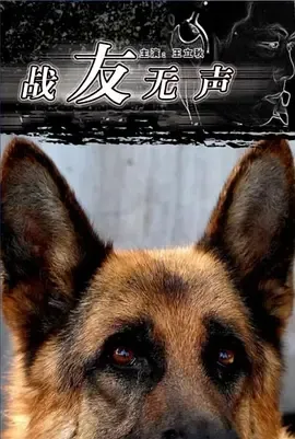 军事科技革新