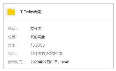 Twins经典影视合集