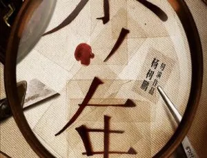 2016中国电影少年国语中字高清完整版