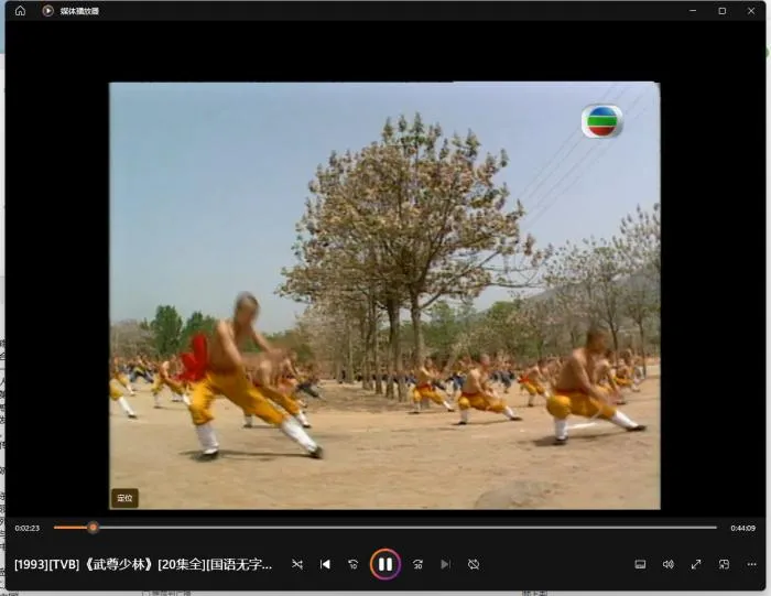 少林绝学洗髓经