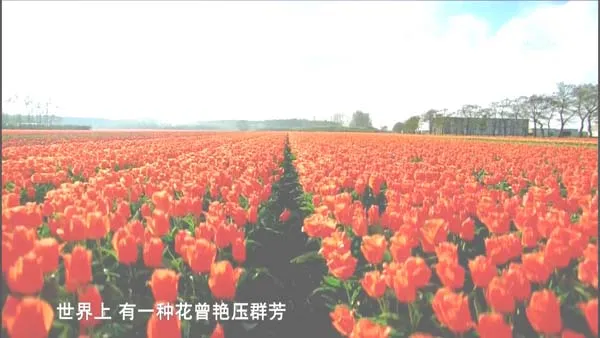 资产泡沫事件