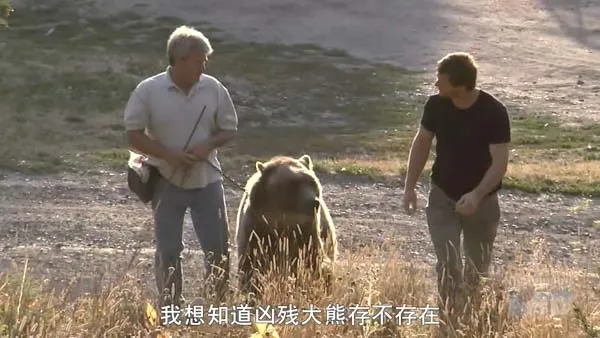 动物攻击纪录片