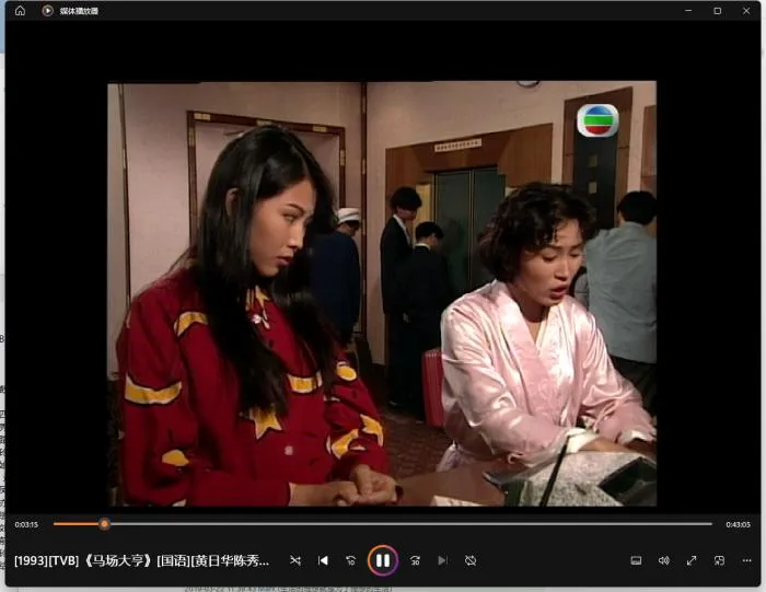 1993 TVB马场大亨