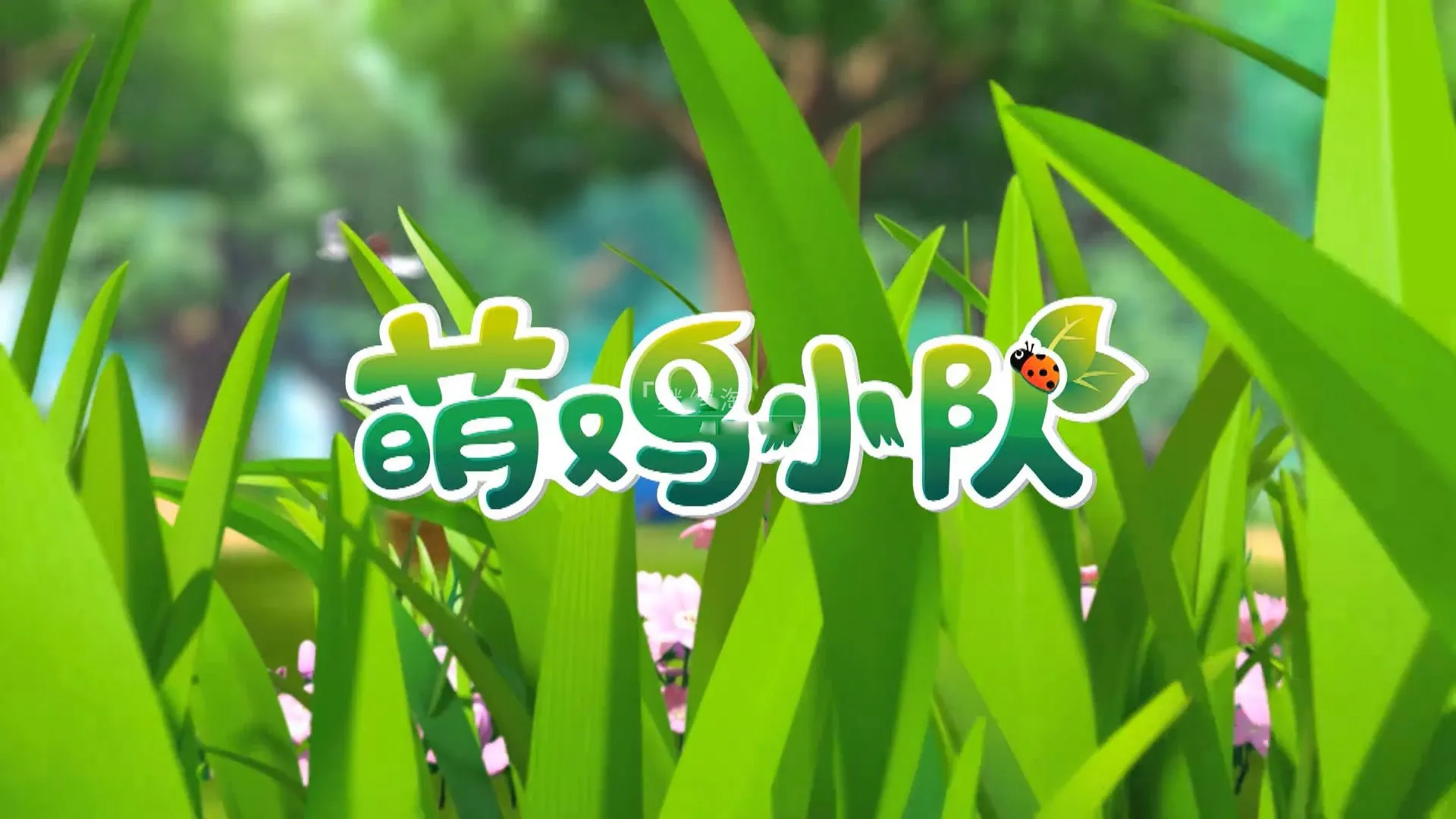 儿童早教动画片