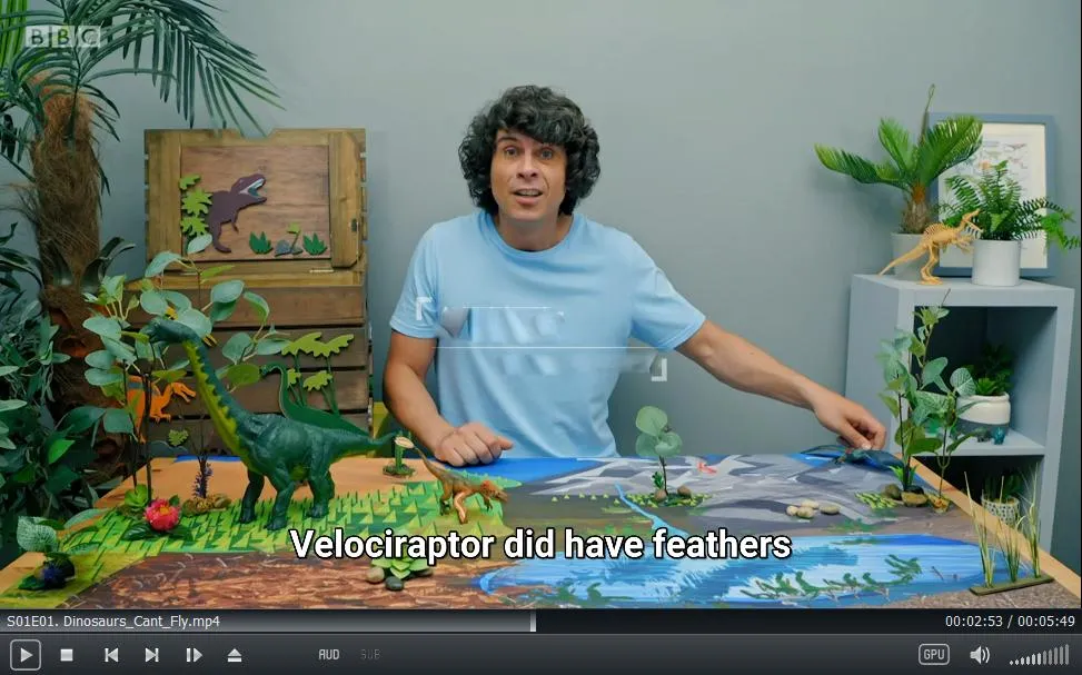 HD 1080P with subtitles