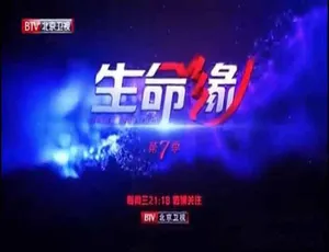 生命缘第7季：生命奇迹高清纪实