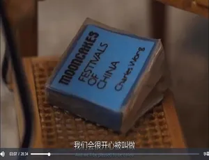 唐人街永存：永远的中国城 海外华人社区人文历史纪录片 中英双语珍藏版