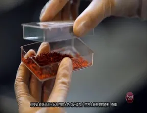 食物工厂食品加工厂第二季全26集英语中字720P高清纪录片-蓝海网