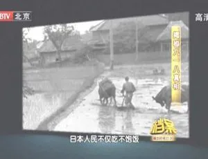 BTV档案2011：揭秘九一八真相 720p高清
