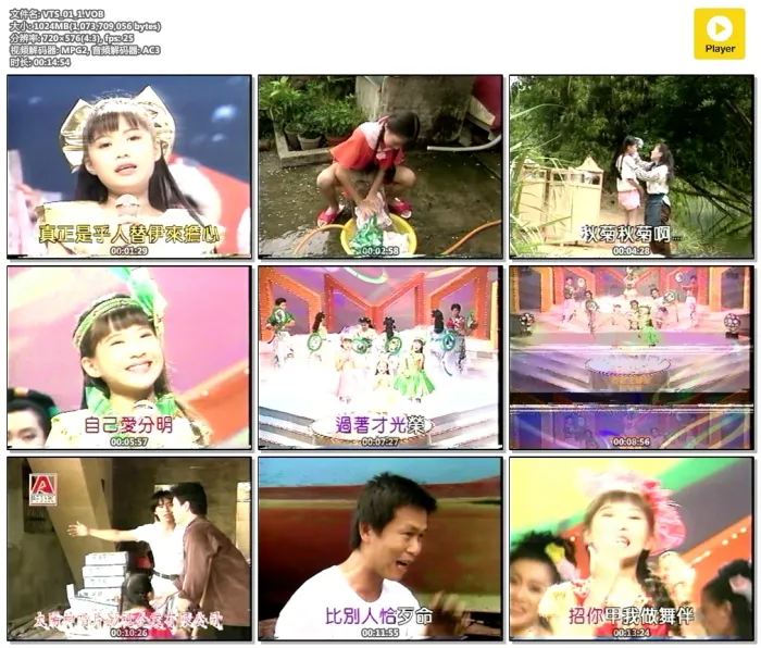 梅花三姐妹台湾演唱会DVD