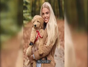 90天未婚夫：另一种方式 第五季全24集 1080P高清 英语中文字幕-蓝海网