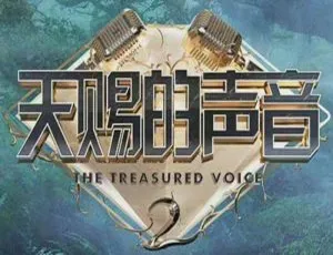 天赐的声音全3季完整版高清视频合集-蓝海网