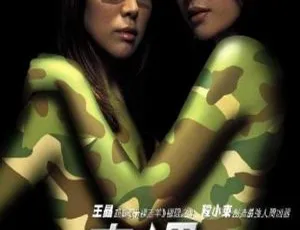 2002香港赤裸特工Naked Weapon国语中字MKV