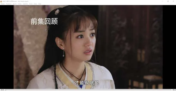 人宠双生穿越